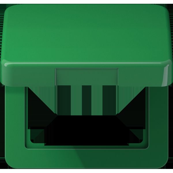 Centre plate with hinged lid CD590BFKLGN image 4