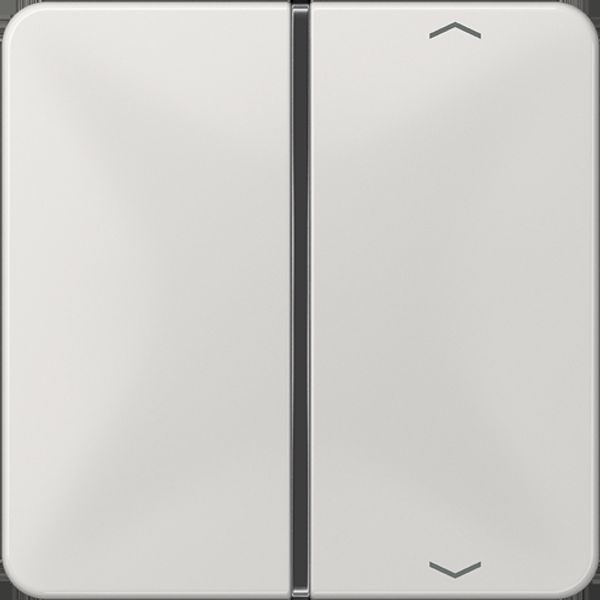 Cover 1-gang with symbols CD401TSAPLG image 3