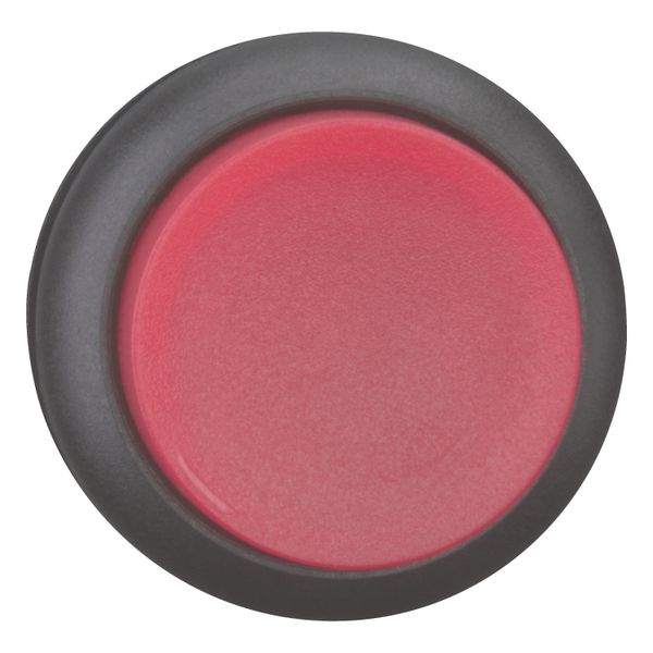 M22S-DRLH-R Illuminated pushbutton actuator, RMQ-Titan, Extended, maintained, red, Blank, Bezel: black image 11
