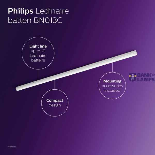 BN013C LED5S/840 L300 image 3