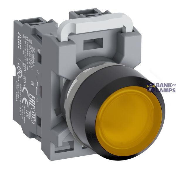 OZXB13 image 1