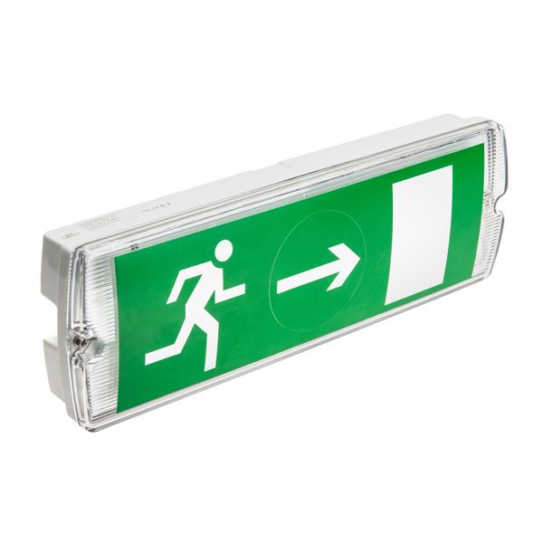 Emergency LED luminaire SAHER DUO, 3 W, 300 lm, 6400K, AC220-240V, IP65, 1 hour, dual-mode image 1