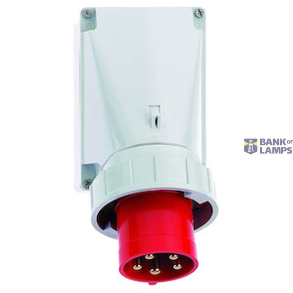 TCD 6h 63A 5P 400V IP67 170x118 Opb Ni image 2
