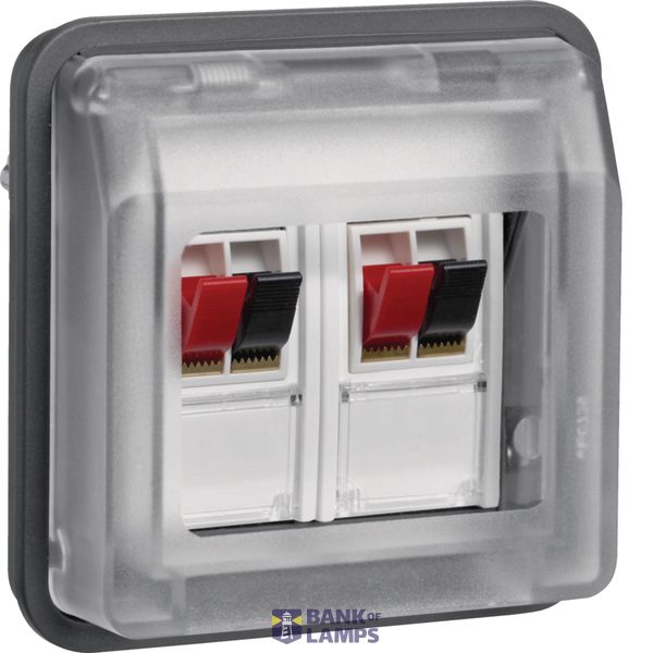 Speaker connection 2-way, W.1, grey image 1