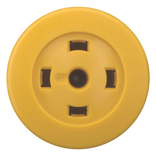 M22S-DRP-Y-X Mushroom actuator, RMQ-Titan, Mushroom, maintained, Mushroom yellow, Without button plate, Bezel: black image 10