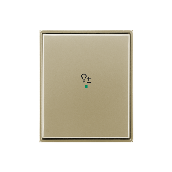 Rocker, 1gang, with “Dimmer” icon image 1