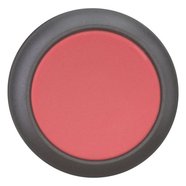 M22S-D-R Pushbutton, RMQ-Titan, Flat, momentary, red, Blank, Bezel: black image 4