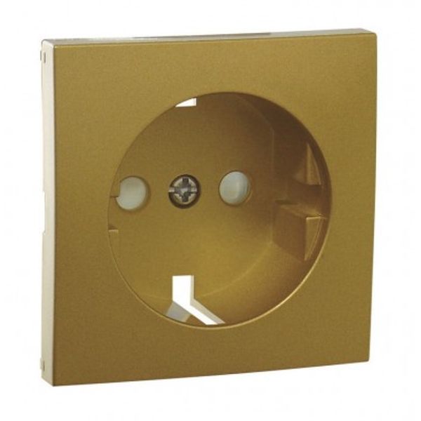 SAF COV PLAT F/EARTH SOCKET (SKO TYPE) GOLDEN image 1
