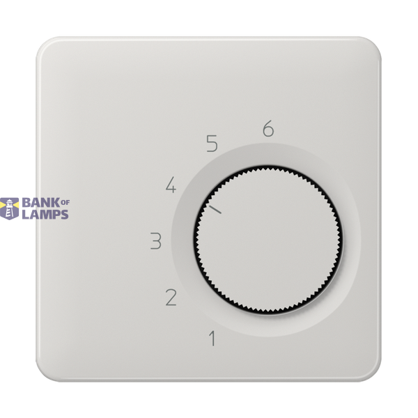 centre plate for room thermostat insert image 1