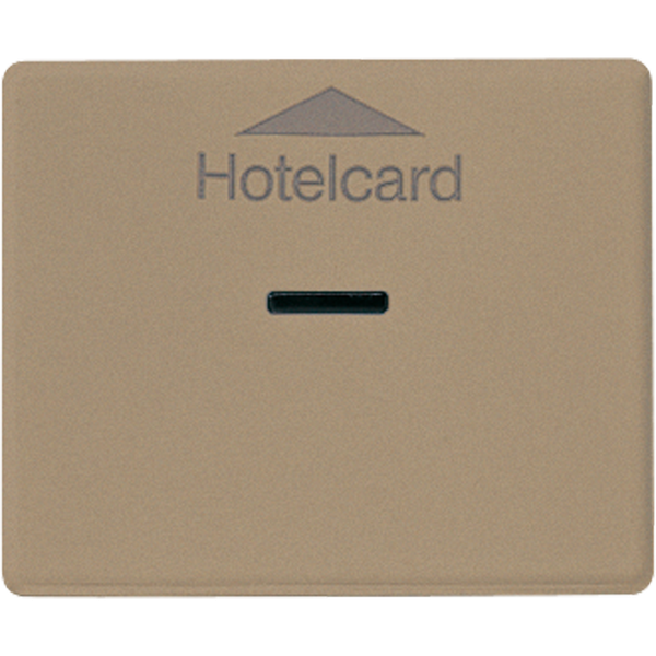 Afdekking SL500 go.brons Hotelcard-schak image 1