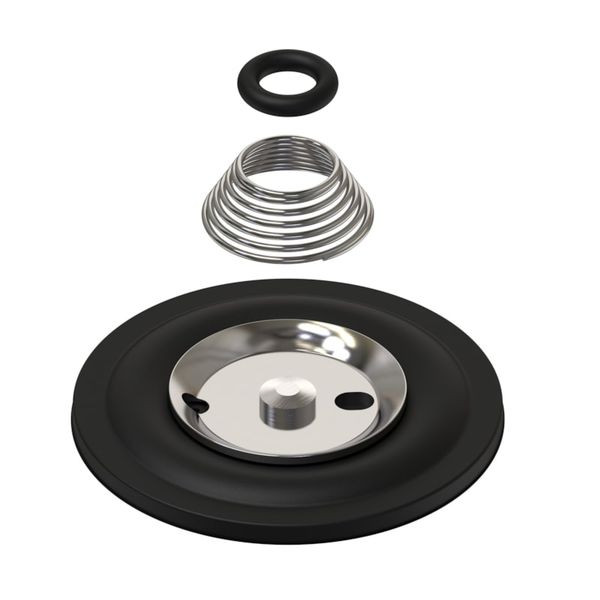 Spare part, EV220S/W 32 FKM/NBR, Diaphragm set image 1