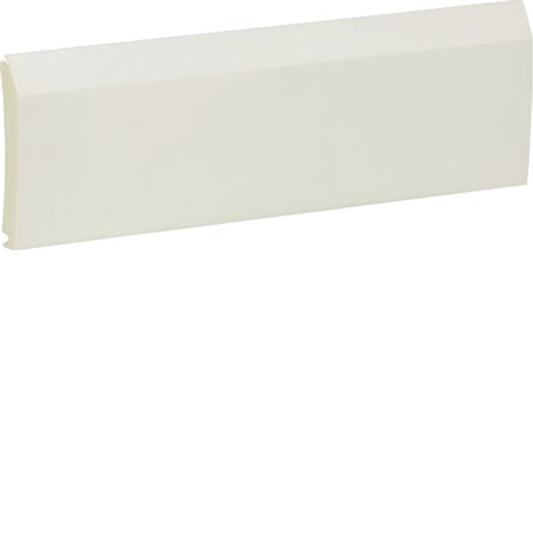 Replacement door solid, white for VR/VD118 image 1