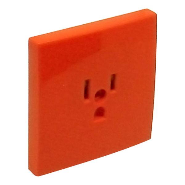 SAF C.PLATE F/EARTH SOCKET (USA NEMA) ORANGE image 1