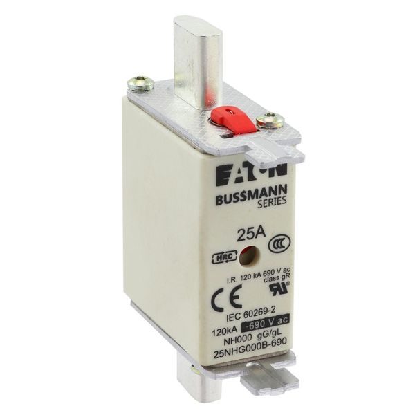 Fuse-link, LV, 25 A, AC 690 V, NH000, gL/gG, IEC, dual indicator, live gripping lugs image 11