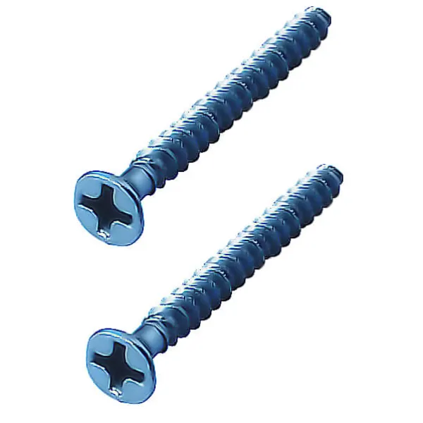 Screws W40 metallic image 1
