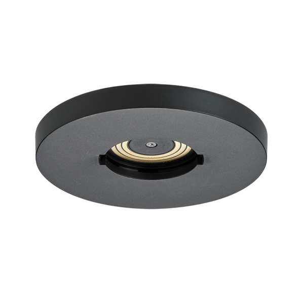 Centre plate PLRBMSW image 5