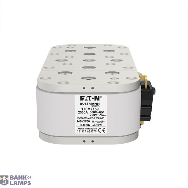 FUSE 2500A 690V 24BKN/60 AR image 6