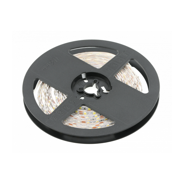 LED strip 2835, DC12V, 600LED/5m, 19 W/m, 1600 lm/m, 6500K, IP20, roll 5 m image 1