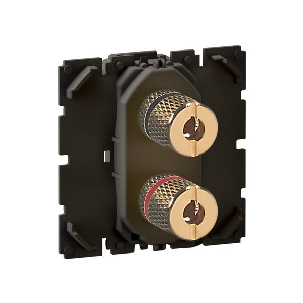 BINDING POST 2OUTLETS image 1