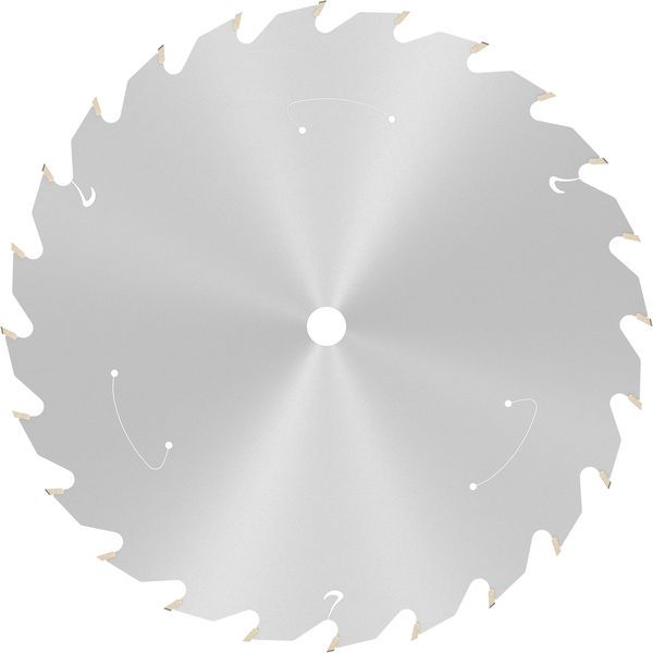 Standard for Wood Circular Saw Blade for Cordless Saws 165x1.5/1x10 T24 image 1