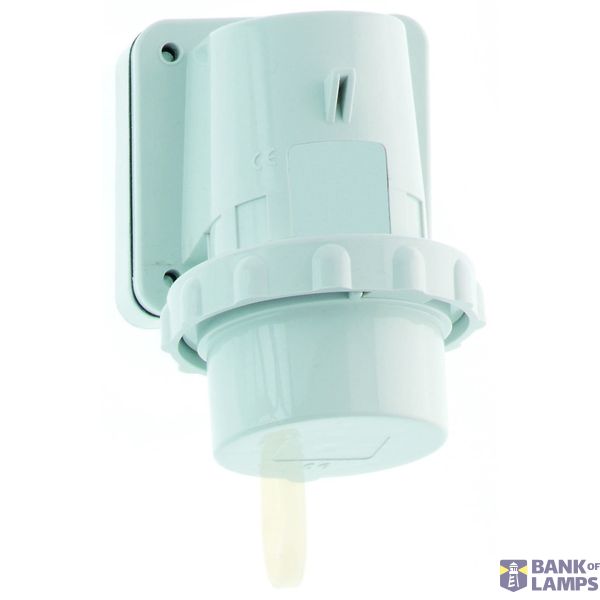 TCD 6h 16A 3P 230V IP67 87x64 Opb Ni Kap image 2