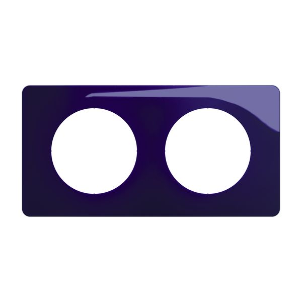 PLATE 2 GANG BLEU DE FOUR image 6