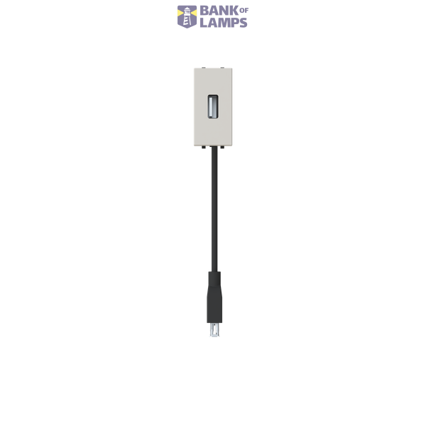 N2155.9 DN - USB 2.0 Female-Female socket. image 1
