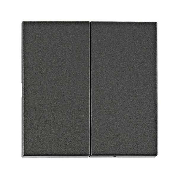Rocker S 55 2-gang, anthracite image 1