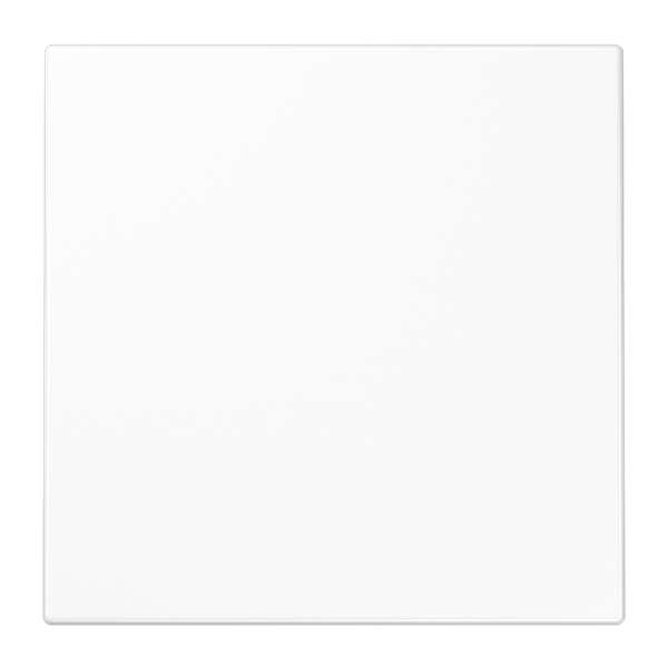 Centre plate PLRBMSW image 4