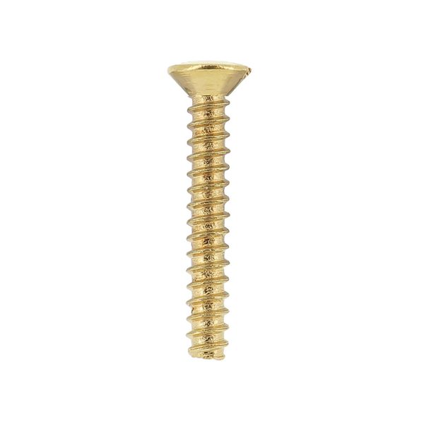 AR401001 Standard screw for Art d'Arnould plates, Memory gold universe image 1