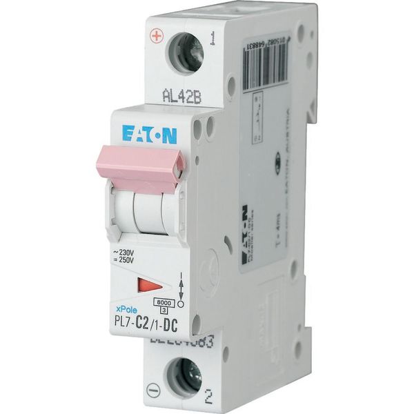 PL7-C2/1-DC Miniature circuit breaker (MCB), 2 A, 1p, characteristic: C, DC image 4
