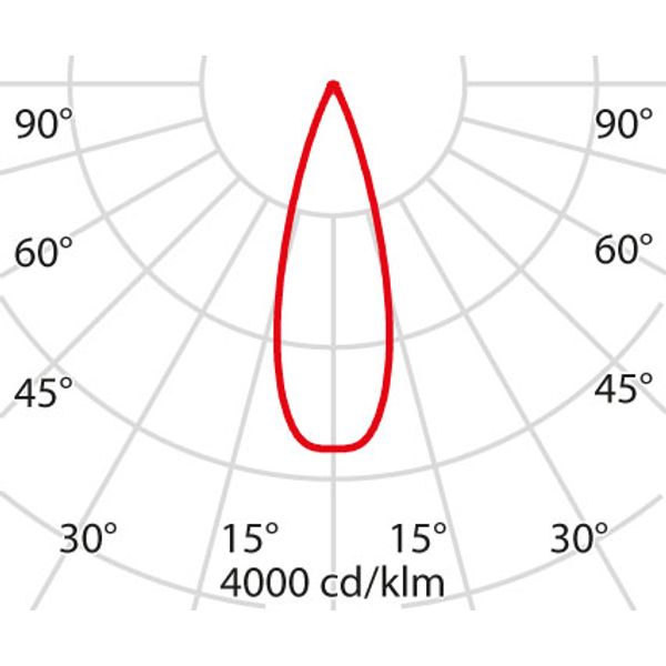 TYK+ 15 25 C/M 927 AN96 image 4