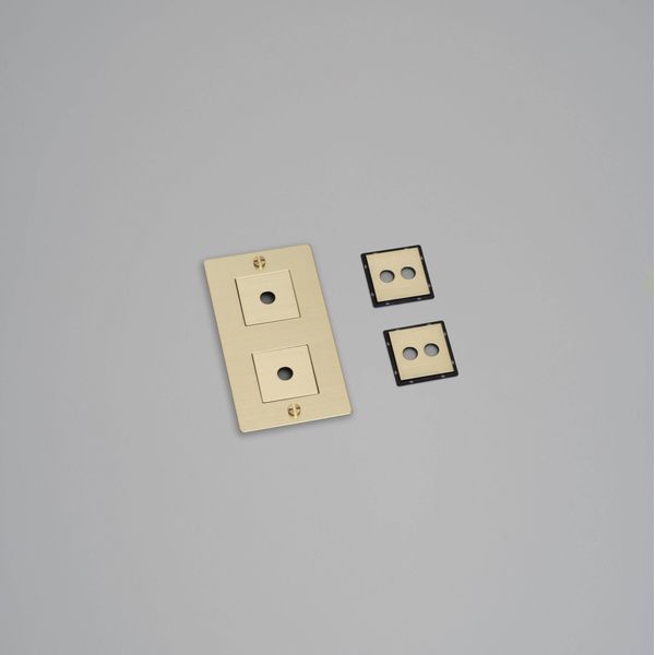2G WALL PLATE / VERTICAL / WITH INFILLS / WITHOUT LOGO / BRASS image 1