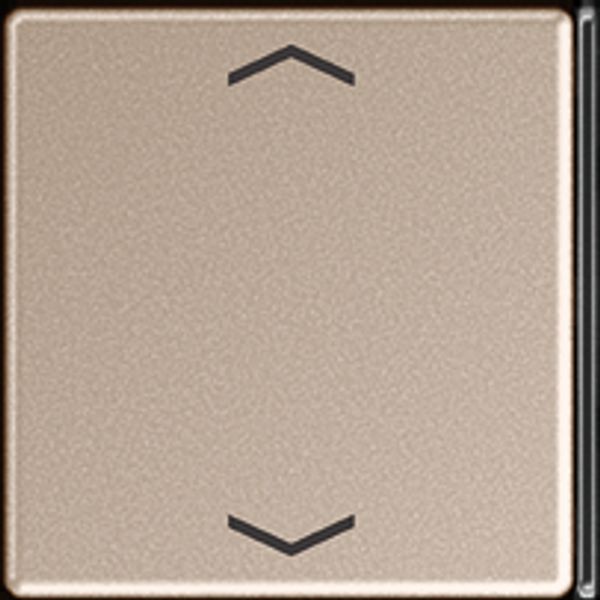 Cover 4-gang with sym. for button 2+3 A404TSAPCH23 image 1