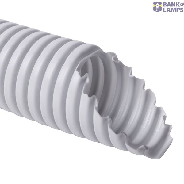 MD01 image 1