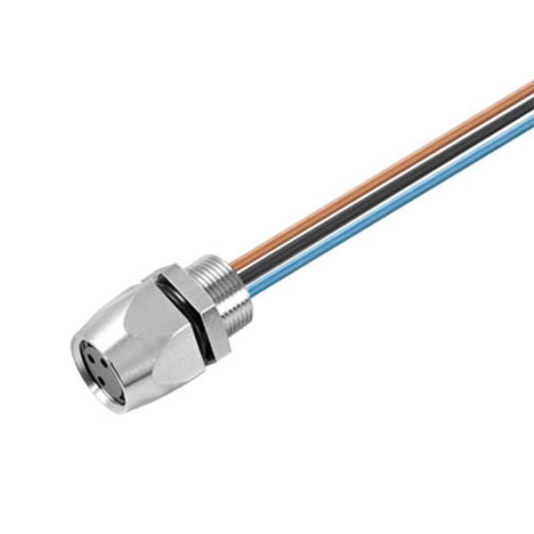 Built-in plugs, M8 thread, Female socket, straight, Mounting thread: M8, Number of poles: 4, Strand / cable length: 0.5 m image 1
