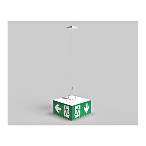 Design-Y-Cord suspension 4000mm for cube luminaires WHX, WHG image 1