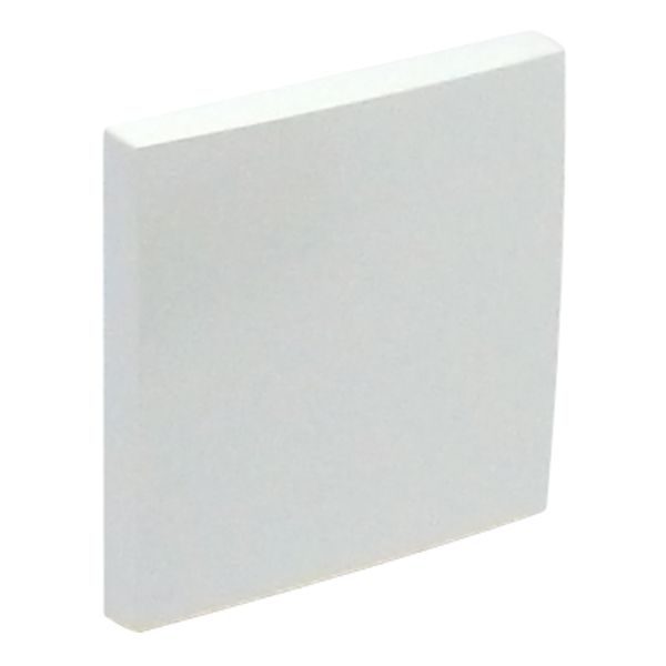 ROCKER FOR SWITCHES ICE image 1