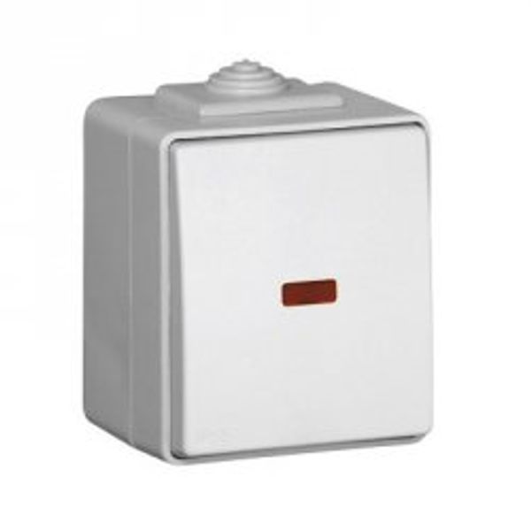 TWO-WAY SWITCH WITH PILOT LAMP WHITE image 1