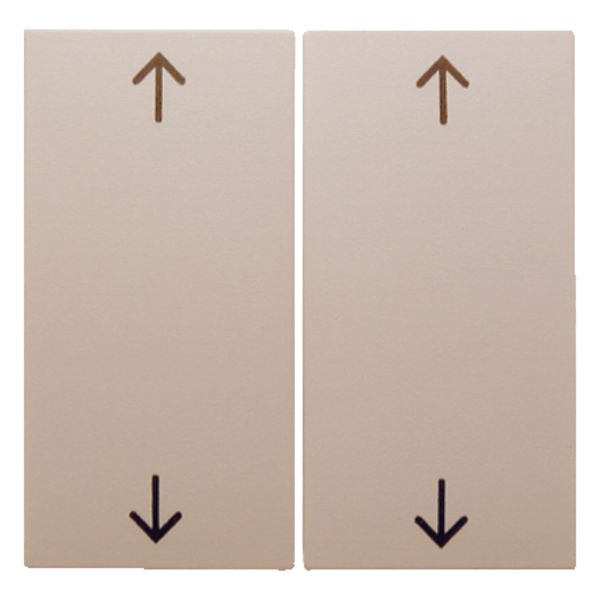 Rocker 2gang imprinted arrows symbol, S.1, white glossy image 1