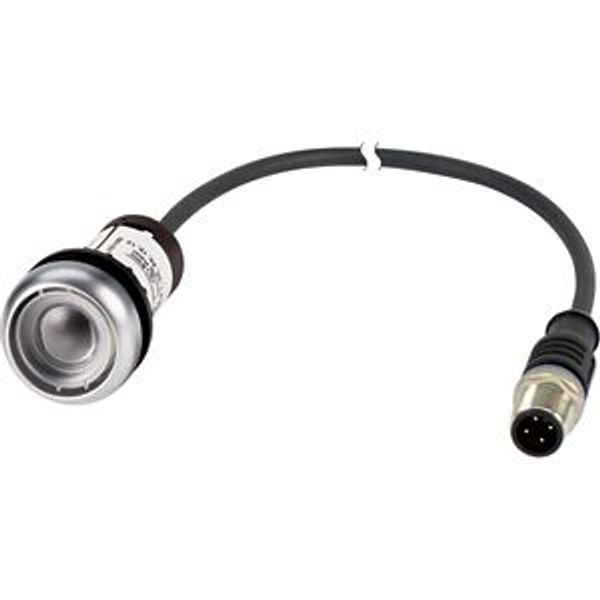 C22-D-X-K10-P1 Pushbutton, Flat, momentary, 1 N/O, Cable (black) with M12A plug, 4 pole, 0.2 m, Without button plate, Bezel: titanium image 2
