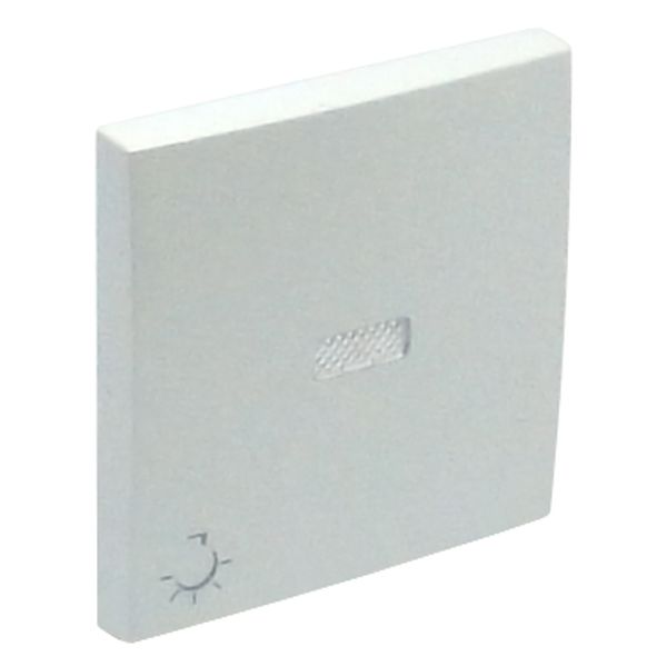 ROCK F/LIGHT SWITCH/PUSH-BUT W/LAMP SYMB ICE image 1