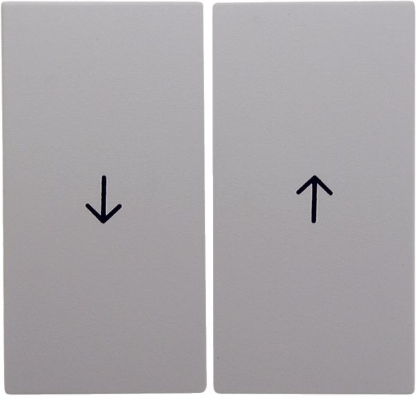 Rocker 2gang imprinted arrow symbol, S.1/B.3/B.7, p. white, matt, plas image 1