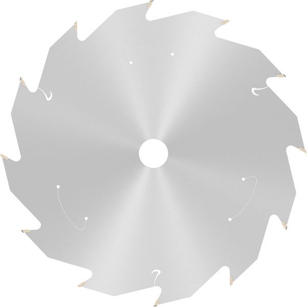 Standard for Wood Circular Saw Blade for Cordless Saws 165x1.5/1x15.875 T12 image 1