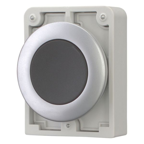 M30C-FD-S Pushbutton, RMQ-Titan, Flat, momentary, black, Blank, Metal bezel image 5