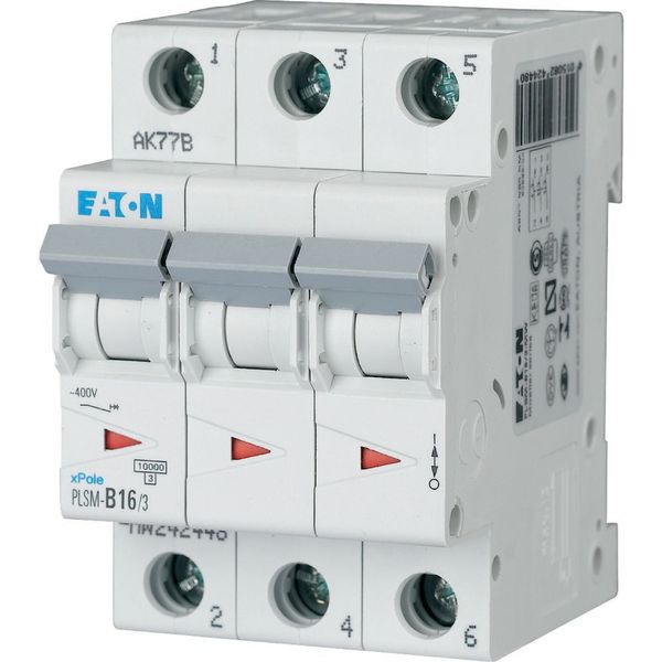 Miniature circuit breaker (MCB), 16 A, 3p, characteristic: C image 4