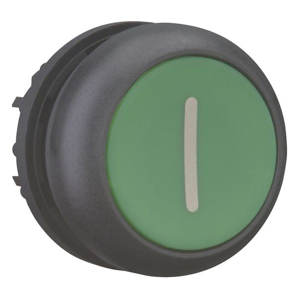 M22S-DR-G-X1 Pushbutton, RMQ-Titan, Flat, maintained, green, inscribed, Bezel: black image 13
