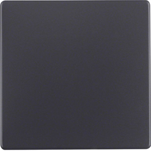 Rocker, Q.1/Q.3, ant. velvety, lacq. image 2