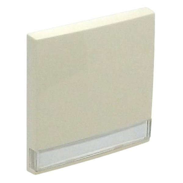 ROCKER F/SWITCHES W/IDENT CARD IVORY image 1
