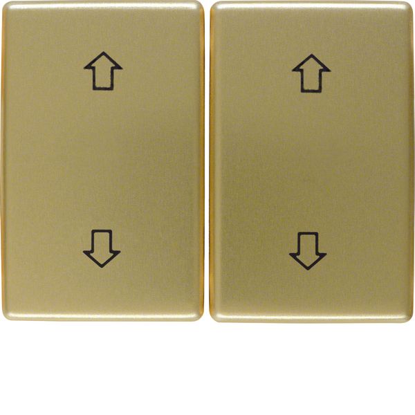 Rockers with imprinted symbol arrows, Arsys, gold metal image 1